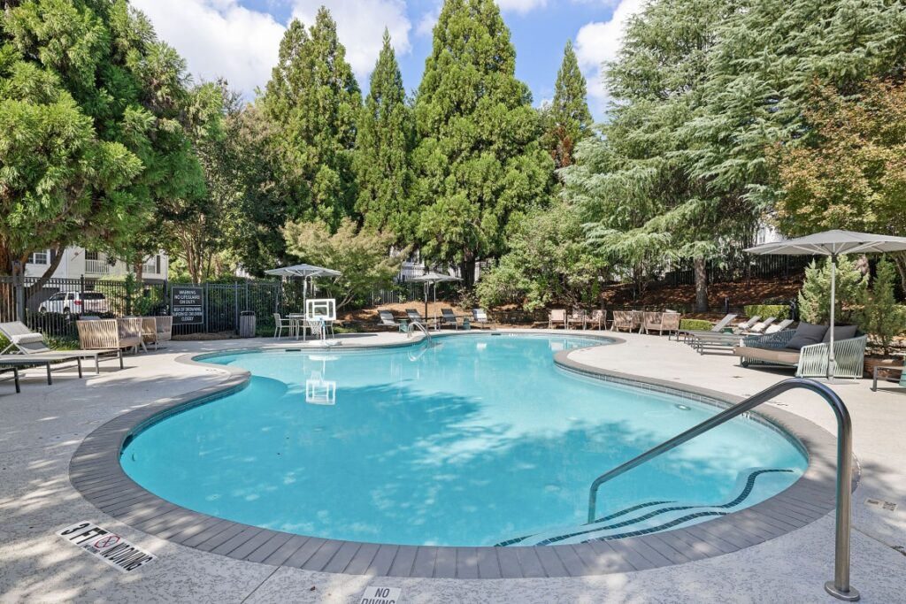 A kidney-shaped swimming pool surrounded by lounge chairs, umbrellas, and tall evergreen trees.